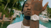 Soakin Wet Offset GIF by Quality Control Music