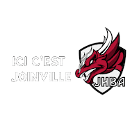JoinvilleHandball logo handball joinville joinvillelepont Sticker