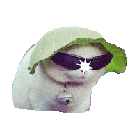 Hat Kitties Sticker by imoji