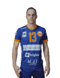 Sport Volleyball Sticker by achvolley