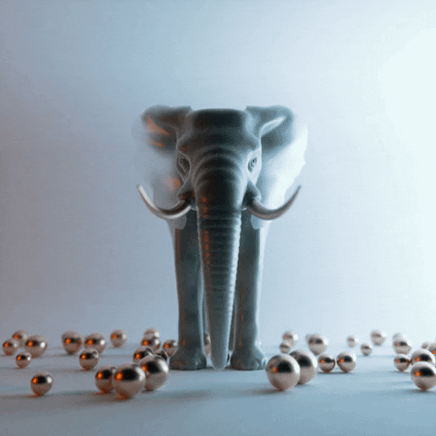 alessiodevecchi giphyupload surprised hit elephant GIF