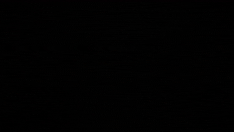 Event Atlanta GIF by ZooATL