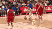 Cant Believe Indiana Pacers GIF by NBA
