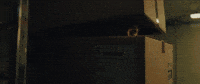 Lucy Liu Vibes GIF by The Avenue Film