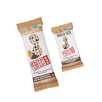 Snacks Protein Sticker by Perfect Bar