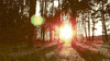 bright sun GIF