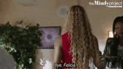 the mindy project GIF by Fox TV