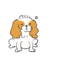 Dog Cavaliers Sticker