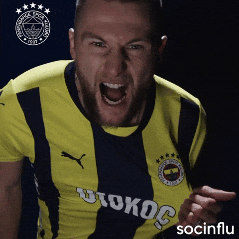 Milan Skriniar GIF by Socinflu