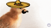 Hallmark Ecards Mexico GIF by Hallmark Gold Crown