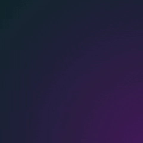 Bitcoin GIF by Morpheus