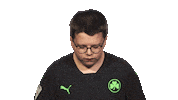 Fürth Elfenomeno Sticker by Bundesliga