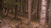 ctv amazingracecanada amazing race canada the amazing race canada GIF
