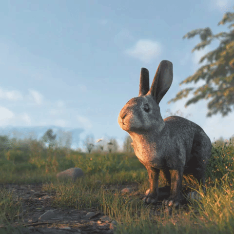 rabbit lol GIF by alessiodevecchi