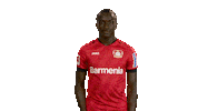 Oh No Wtf Sticker by Bundesliga