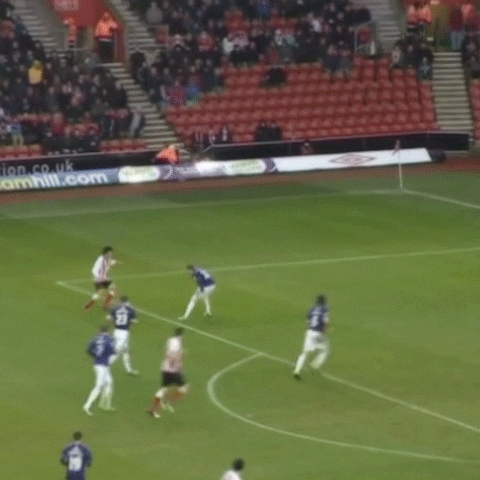 tadanari lee goal GIF by Southampton FC