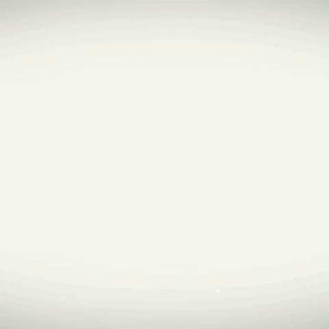 bulldogstore giphygifmaker GIF
