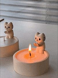 Temu GIF
