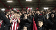 Ecfc GIF by Exeter City Football Club