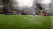 Ecfc Exetercity GIF by Exeter City Football Club