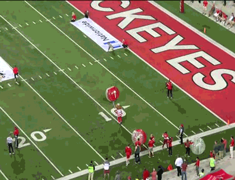 Ncaa Sports GIF by Ohio State Athletics