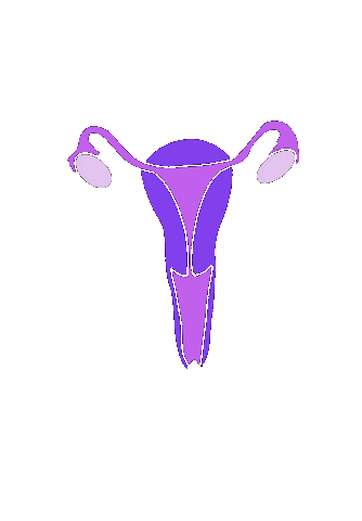 leve_livet dick vagina equal ovaries Sticker