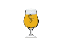 drunk beer Sticker by Cerveja Praya