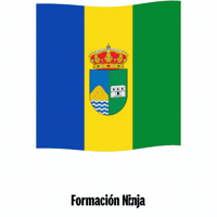 Castilla Y Leon Flag GIF by Formación Ninja
