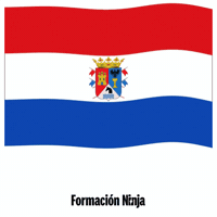 Castilla Y Leon Flag GIF by Formación Ninja