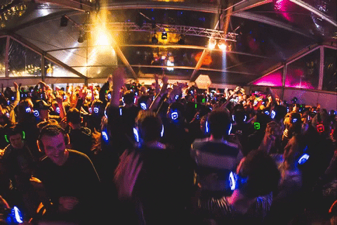 Party Fun GIF by RGB Disco