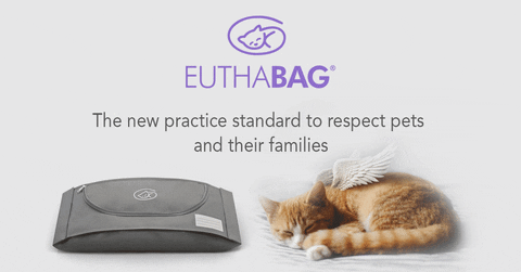 heleneperras giphyupload endoflife euthabag petbodybag GIF