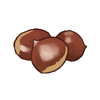 Chestnut Sticker