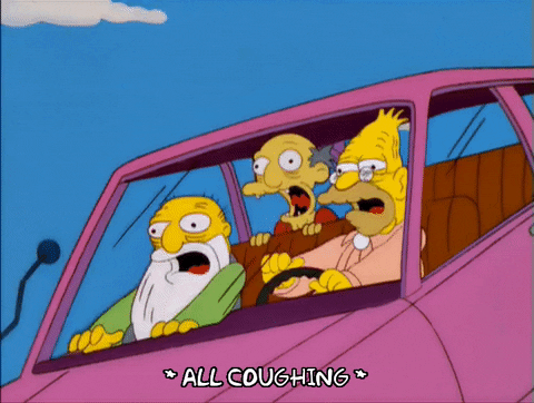 season 13 GIF