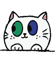 Cat Looking Sticker