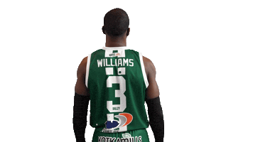 Basketball Hoops Sticker by Basket_fi