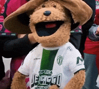 Boina Lafe GIF by LIBERUM