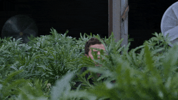 andy samberg nbc GIF by Brooklyn Nine-Nine