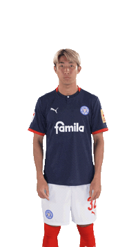 Link Verlinken Sticker by Holstein Kiel