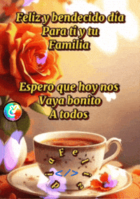 Cafe Rosa GIF by Murcianys LLC