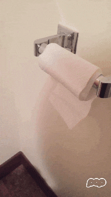 paper roll GIF