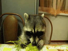 grape yes GIF