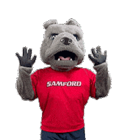 Giving Day College Sticker by Samford University