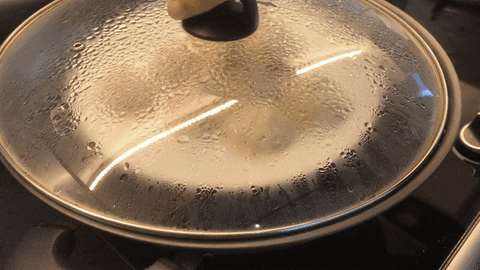 stacylunafoo giphyupload dimsum xiao long bao GIF