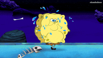 Jellyfish Fields GIF by SpongeBob SquarePants