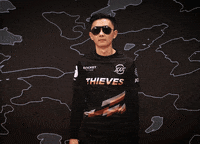League Of Legends Idk GIF by 100 Thieves
