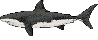 PositPixel pixel art shark sprite sprites Sticker