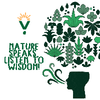 Activism Rays Sticker by RAINFOREST YOUTH SUMMIT