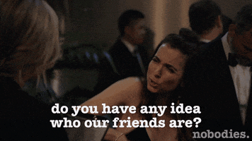 tv land friends GIF by nobodies.