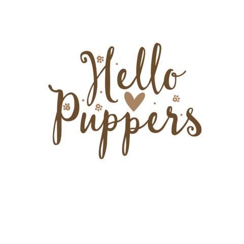 Puppies Hello Sticker by Winkeltjevanbeer