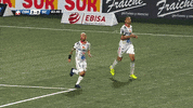 tdmas_cr  GIF